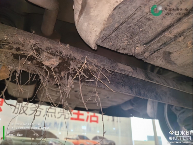 名爵锐行锐行 2015款 1.5T 自动精英版