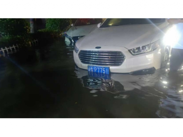 福特金牛座