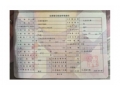 大众途观