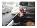 比亚迪秦