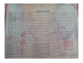 大众朗逸