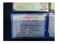 本田雅阁