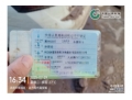 大众速腾