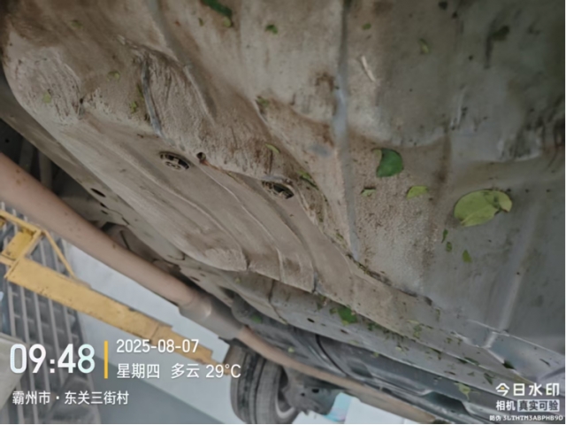 本田艾力绅