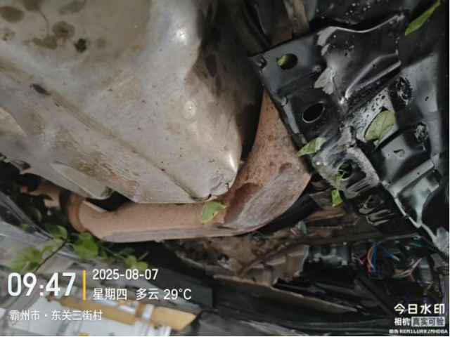 本田艾力绅