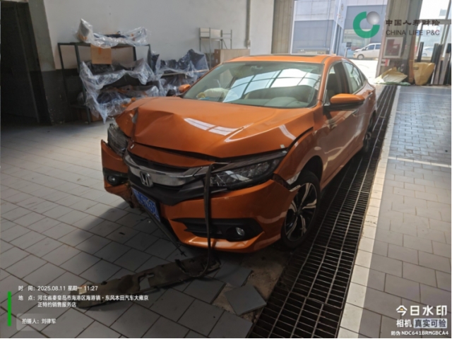 本田思域