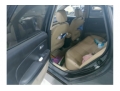 现代伊兰特