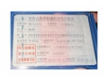 马自达马自达3