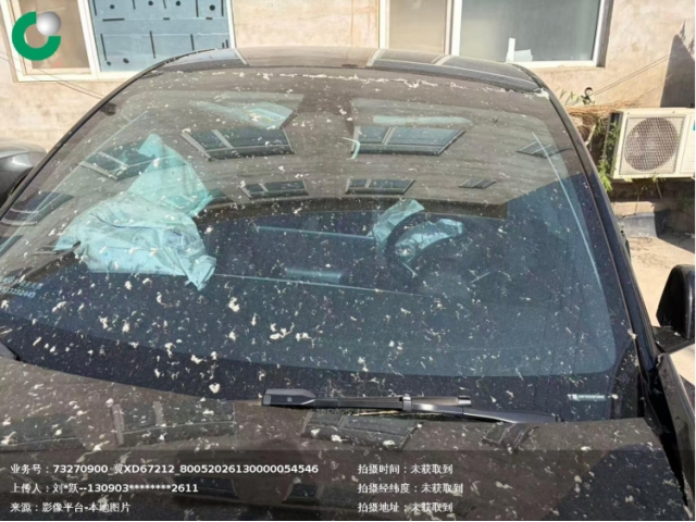 特斯拉