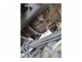 人寿福田 欧曼EST 手动档 (BJ4259SNFKB-AA)