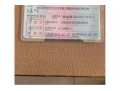 太平	捷途山海T2