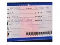 太平大众速腾