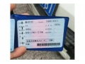 太平东风
