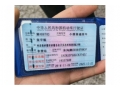 太平东风