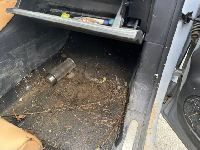 零跑汽车