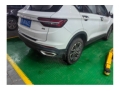 人寿吉利汽车缤越
