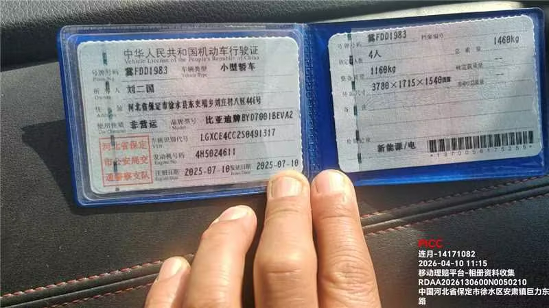 海鸥(第一代,2023-)