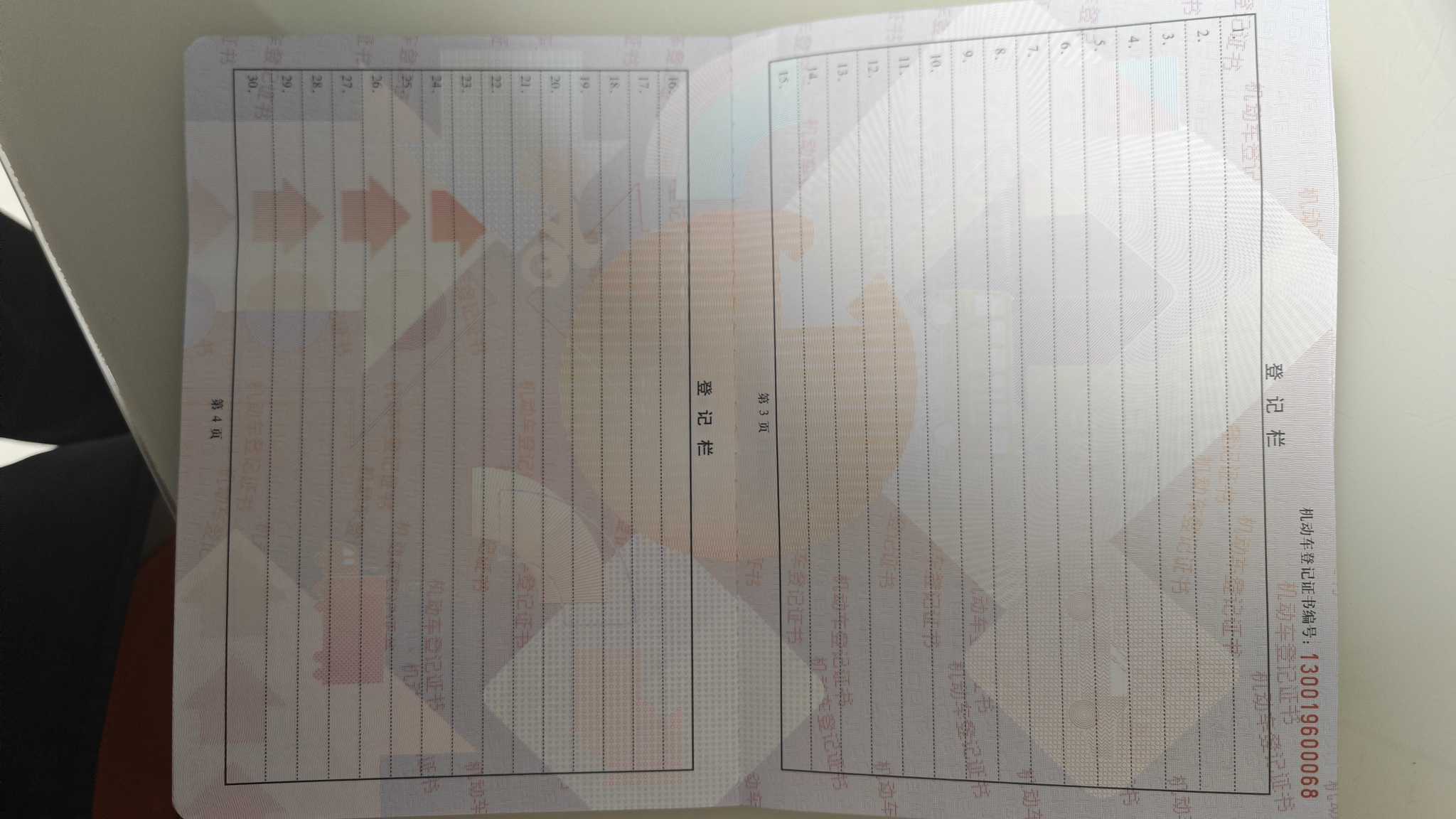 缤智
