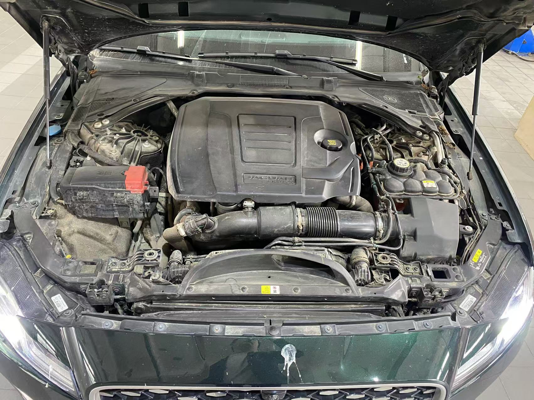 XF