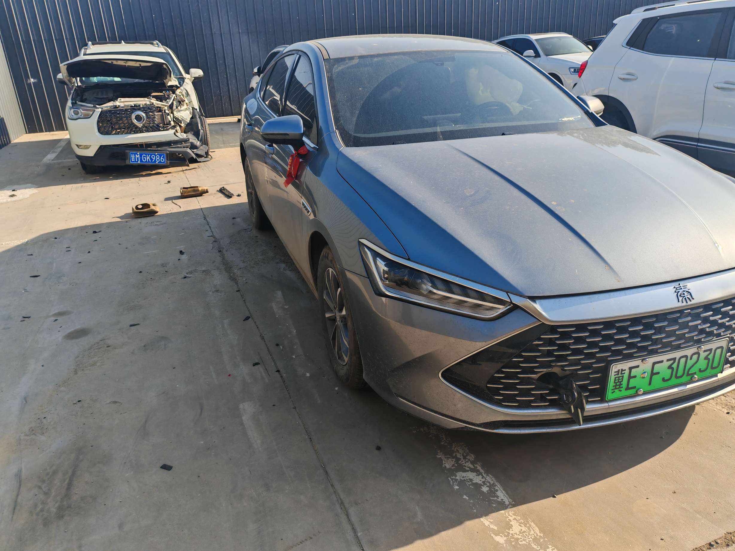 秦 PLUS（2021-