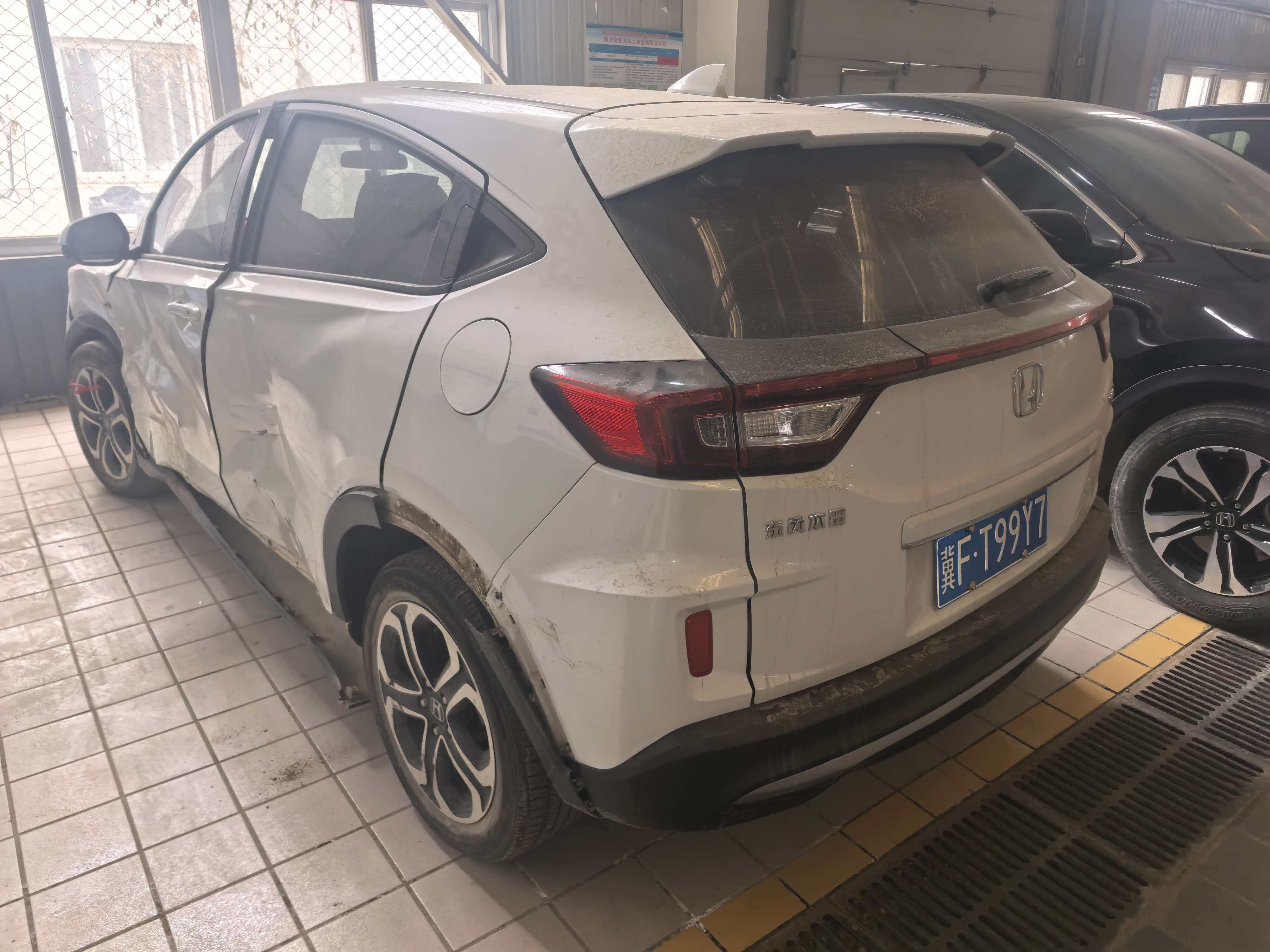 XR-V