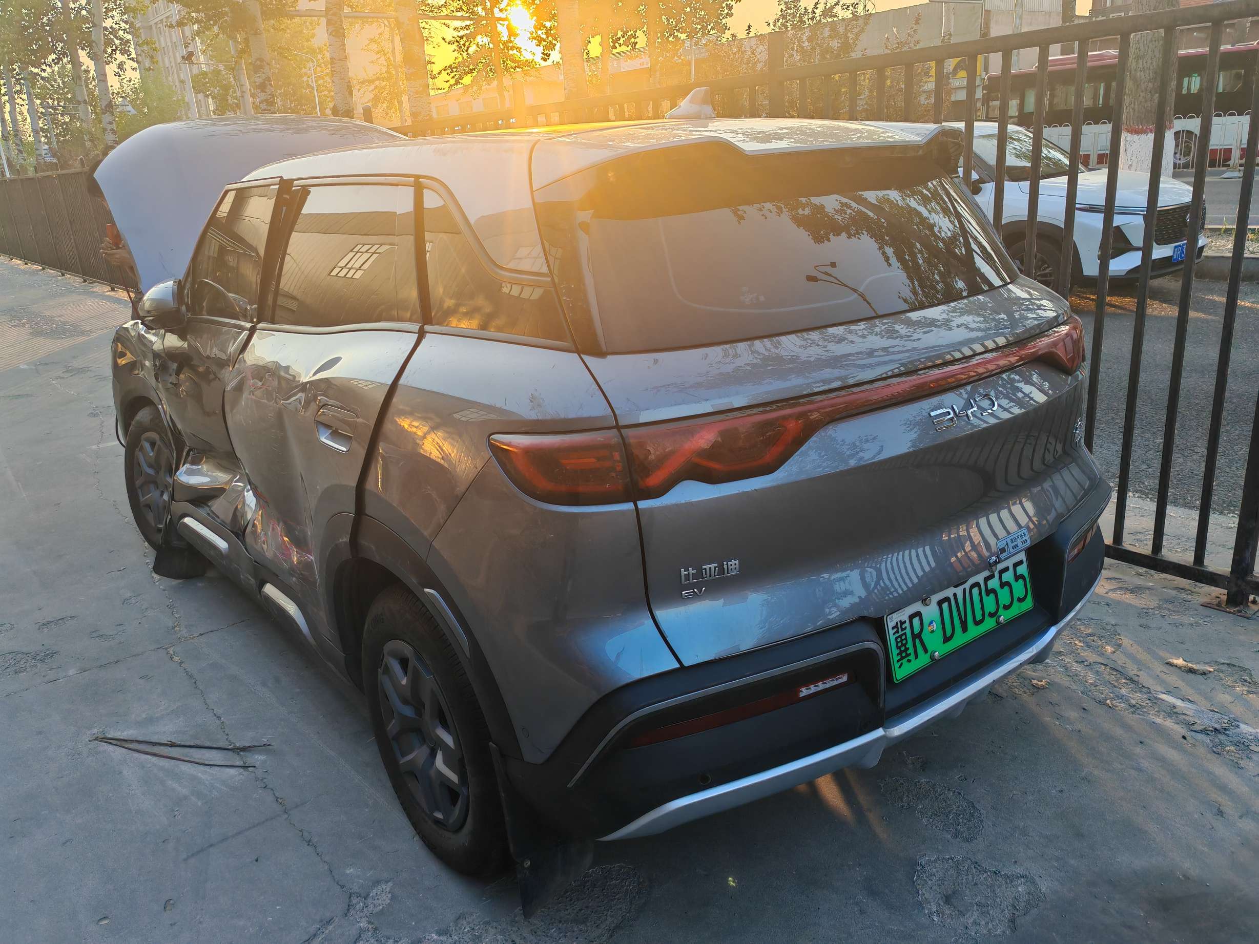 元UP EV（2024-