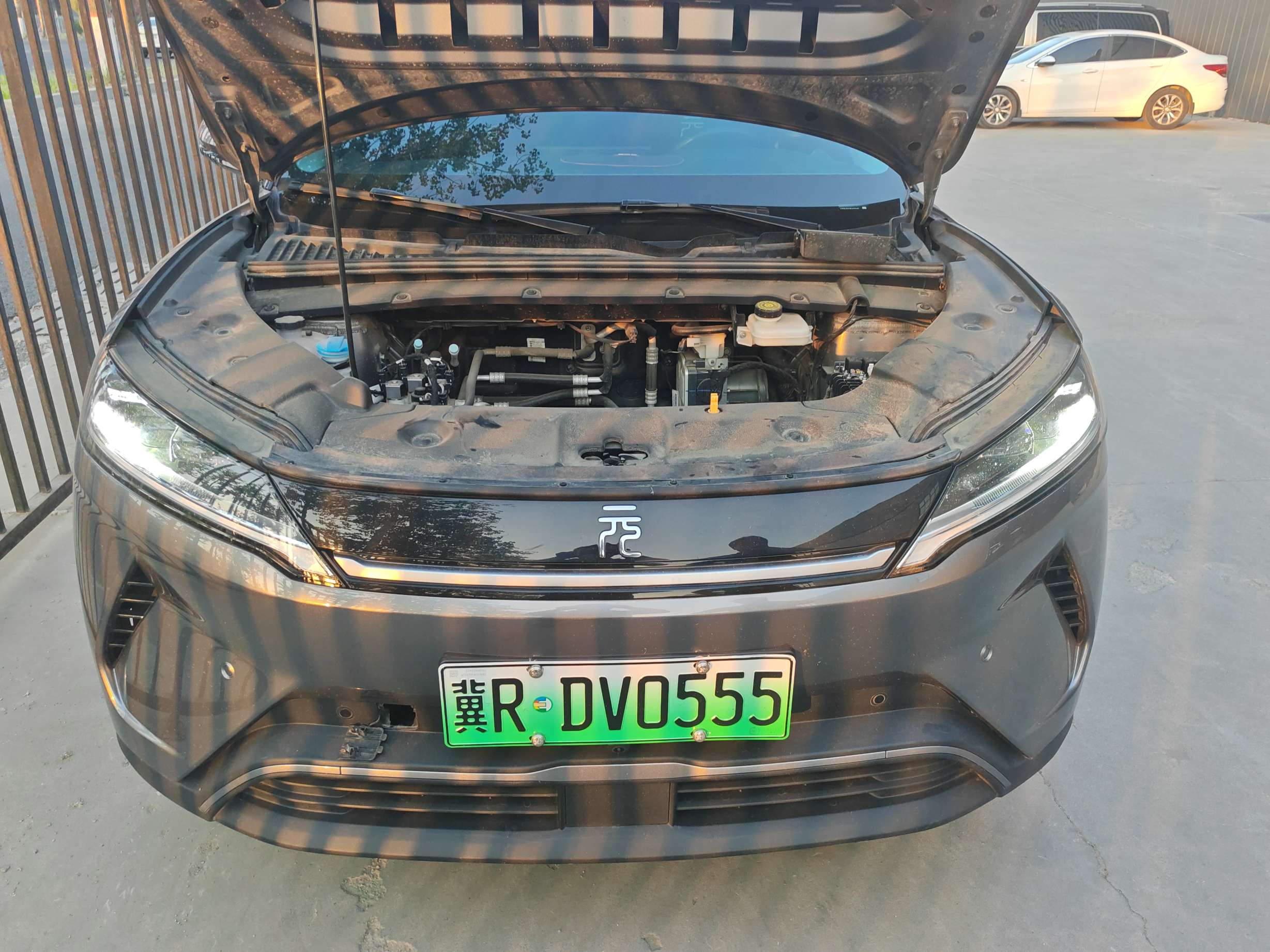 元UP EV（2024-