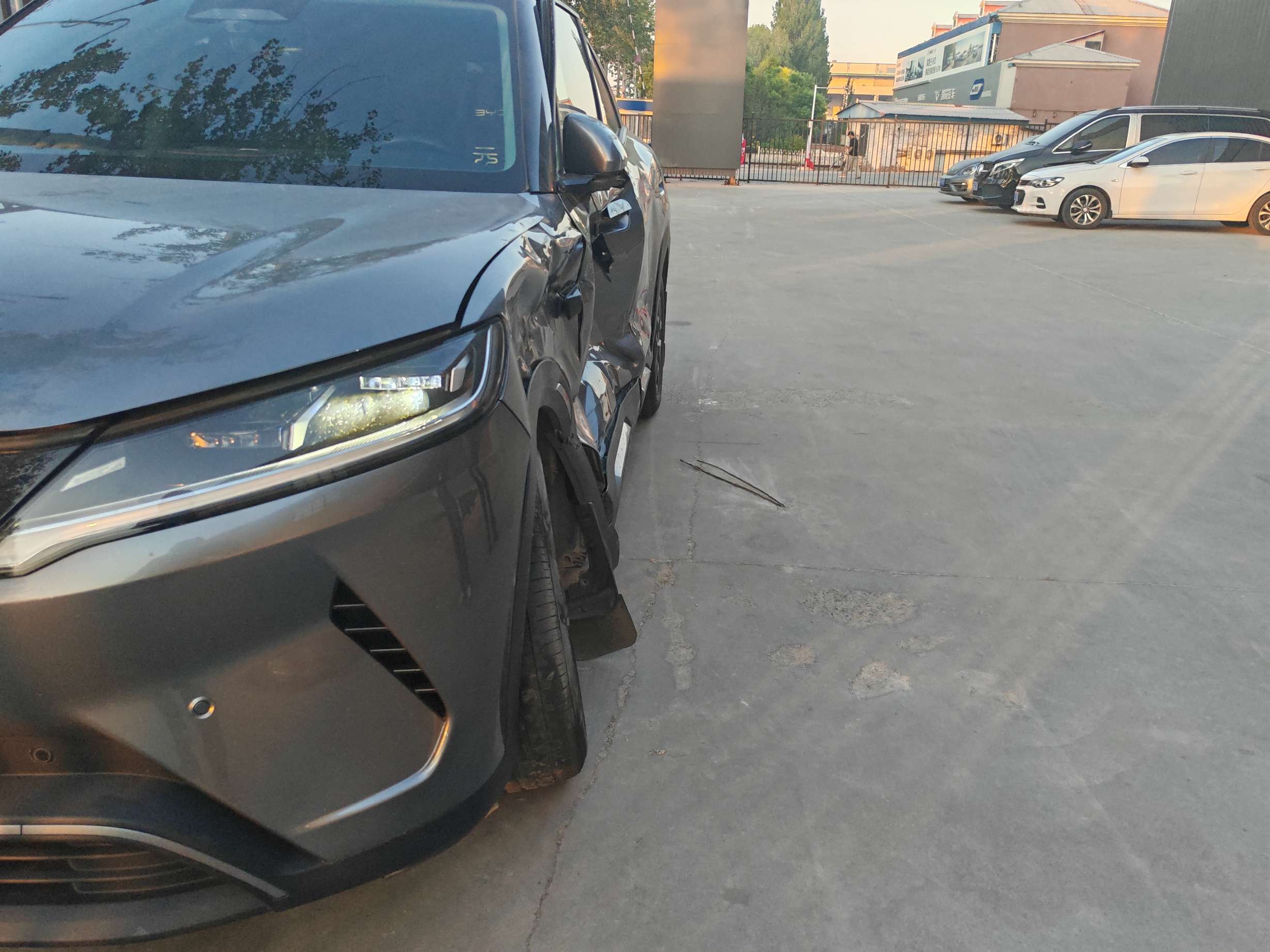元UP EV（2024-
