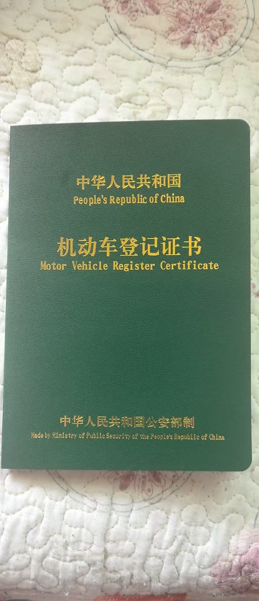 奔腾小马(第一代,2024-)