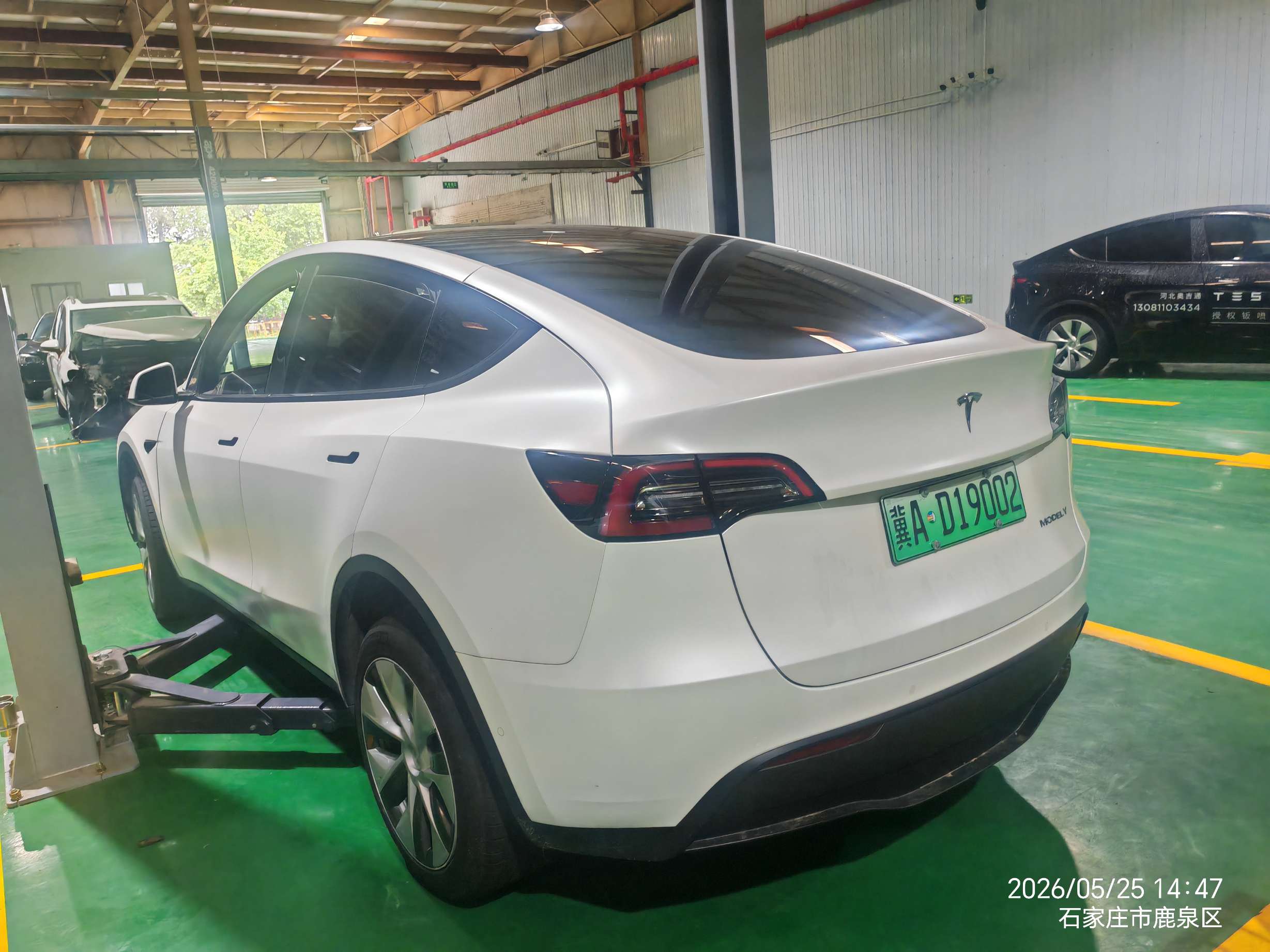 Model Y