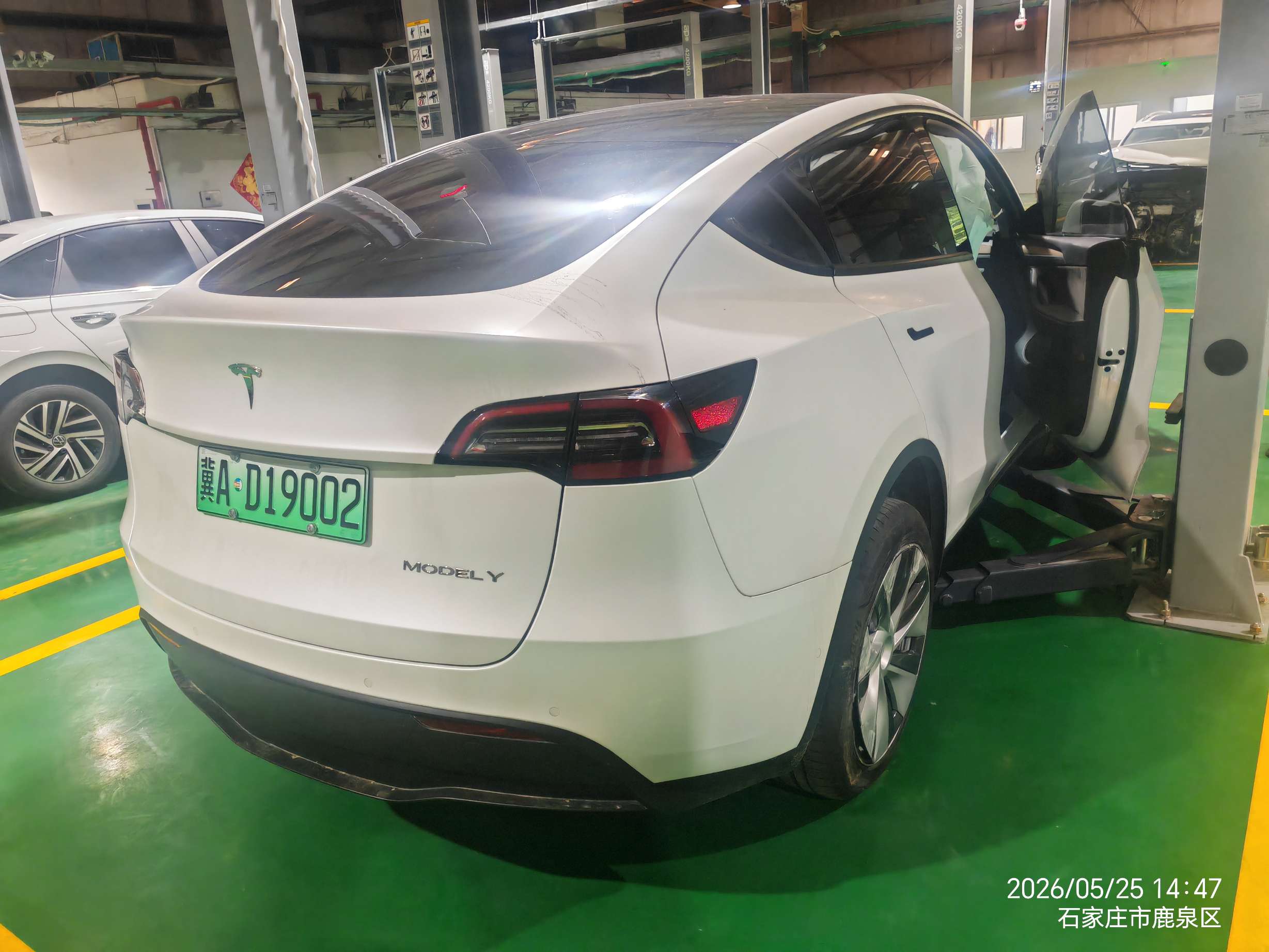 Model Y