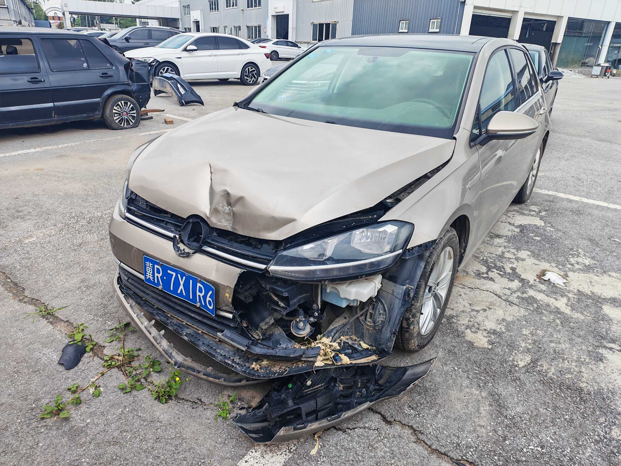 高尔夫（2013-2020）