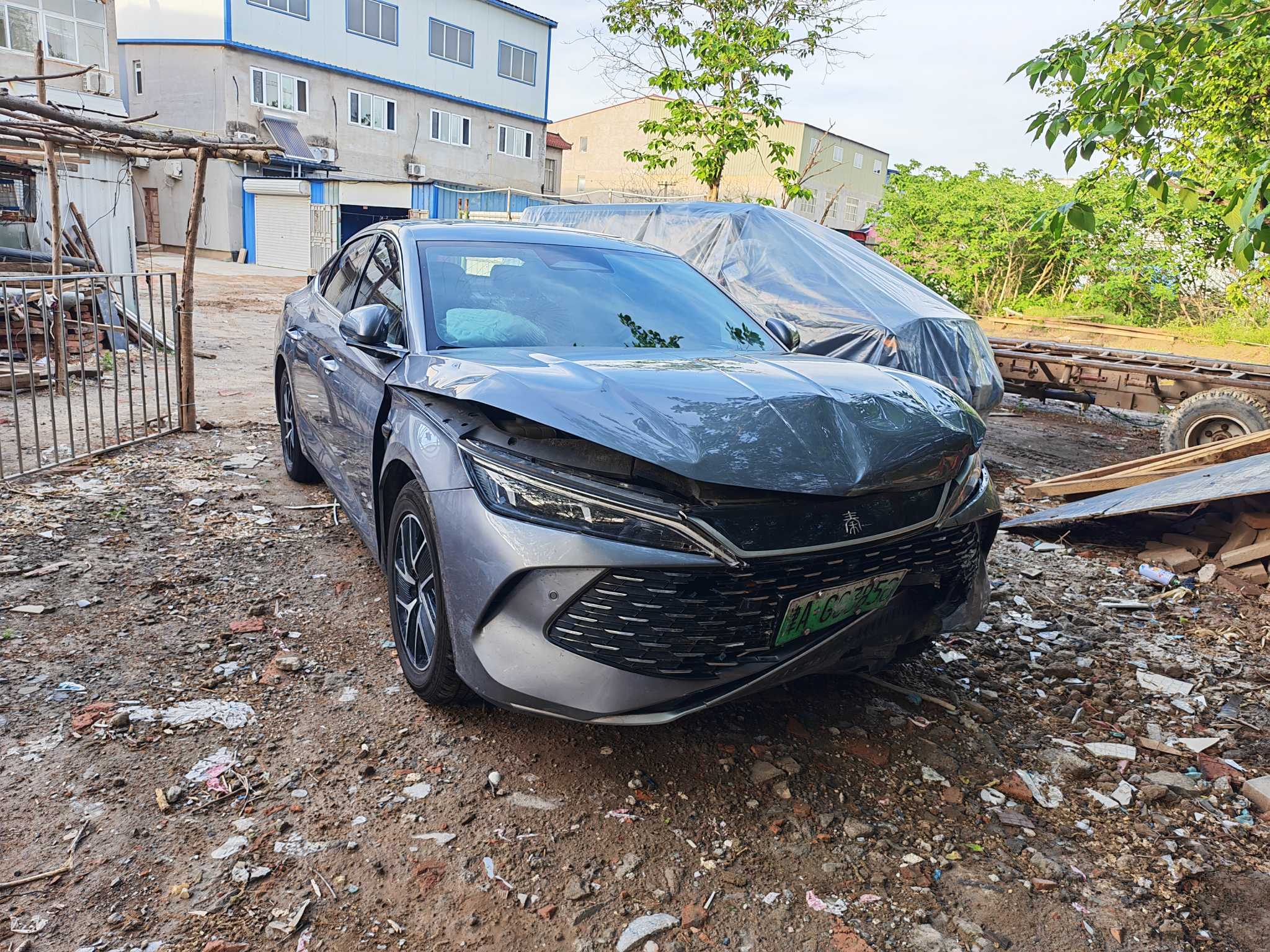 秦L（2024-