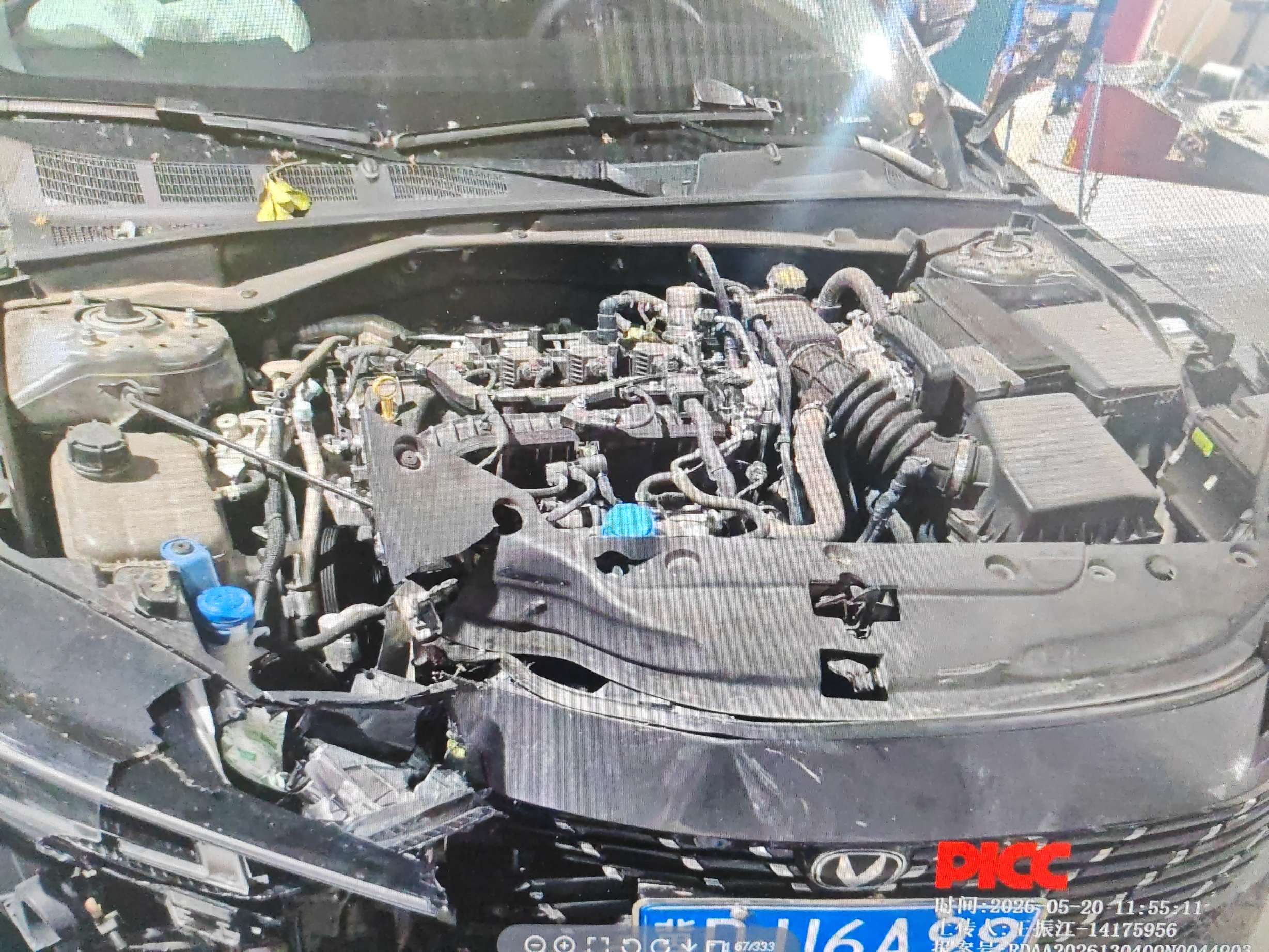 逸动