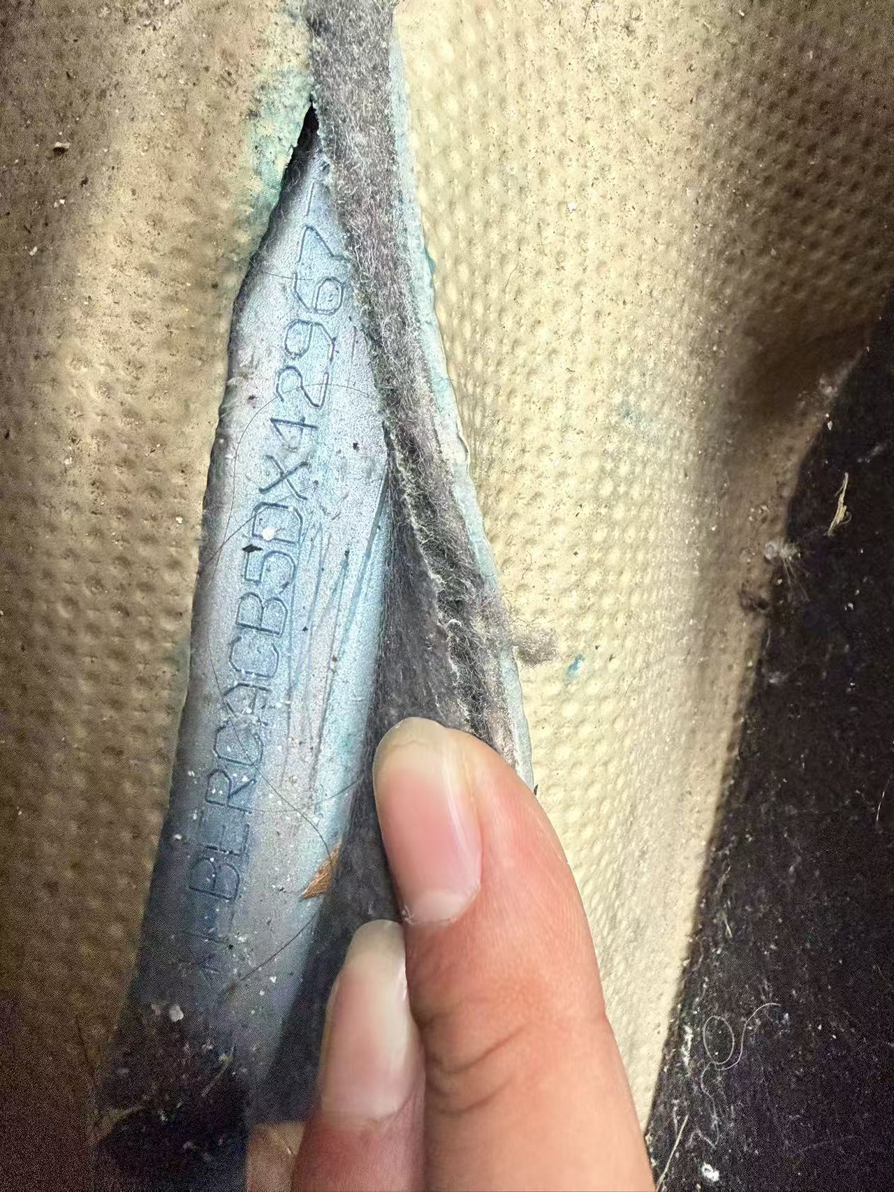 瑞纳
