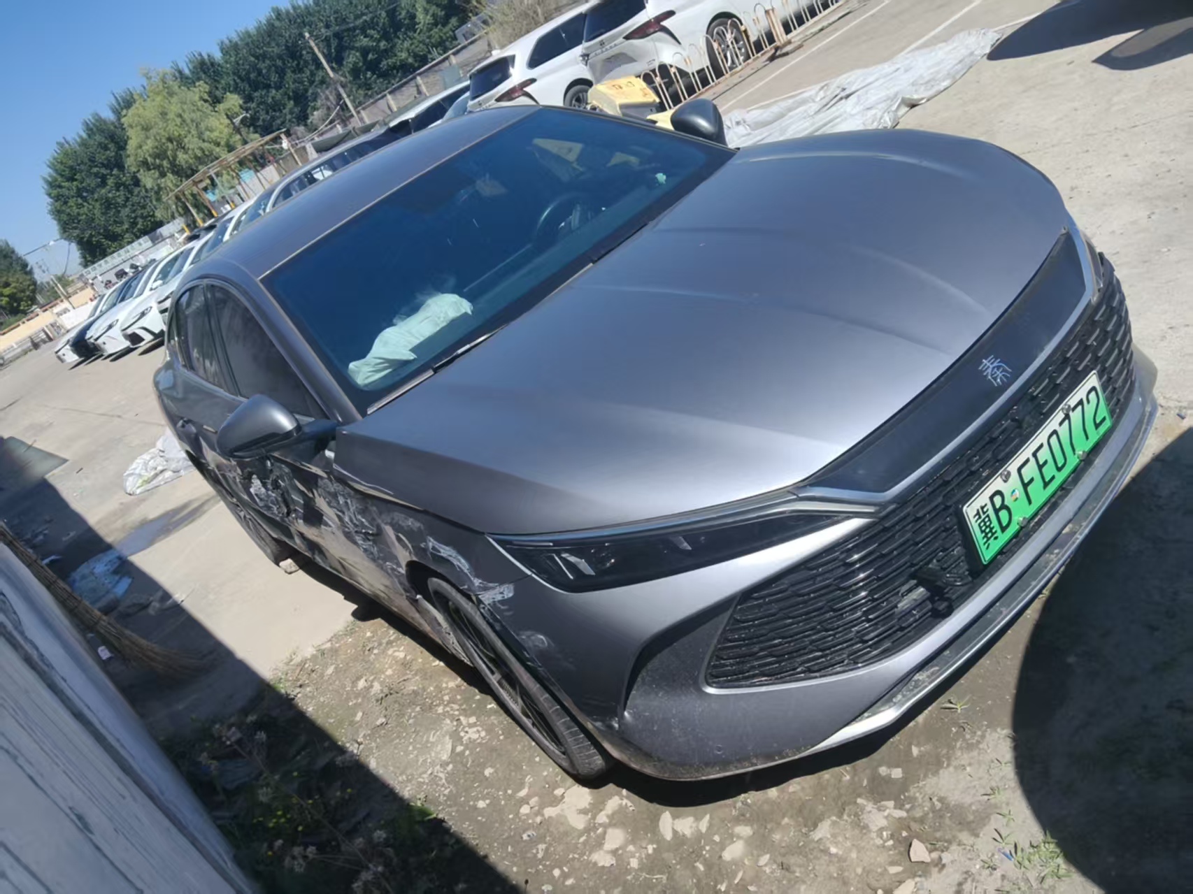 秦L(2024-
