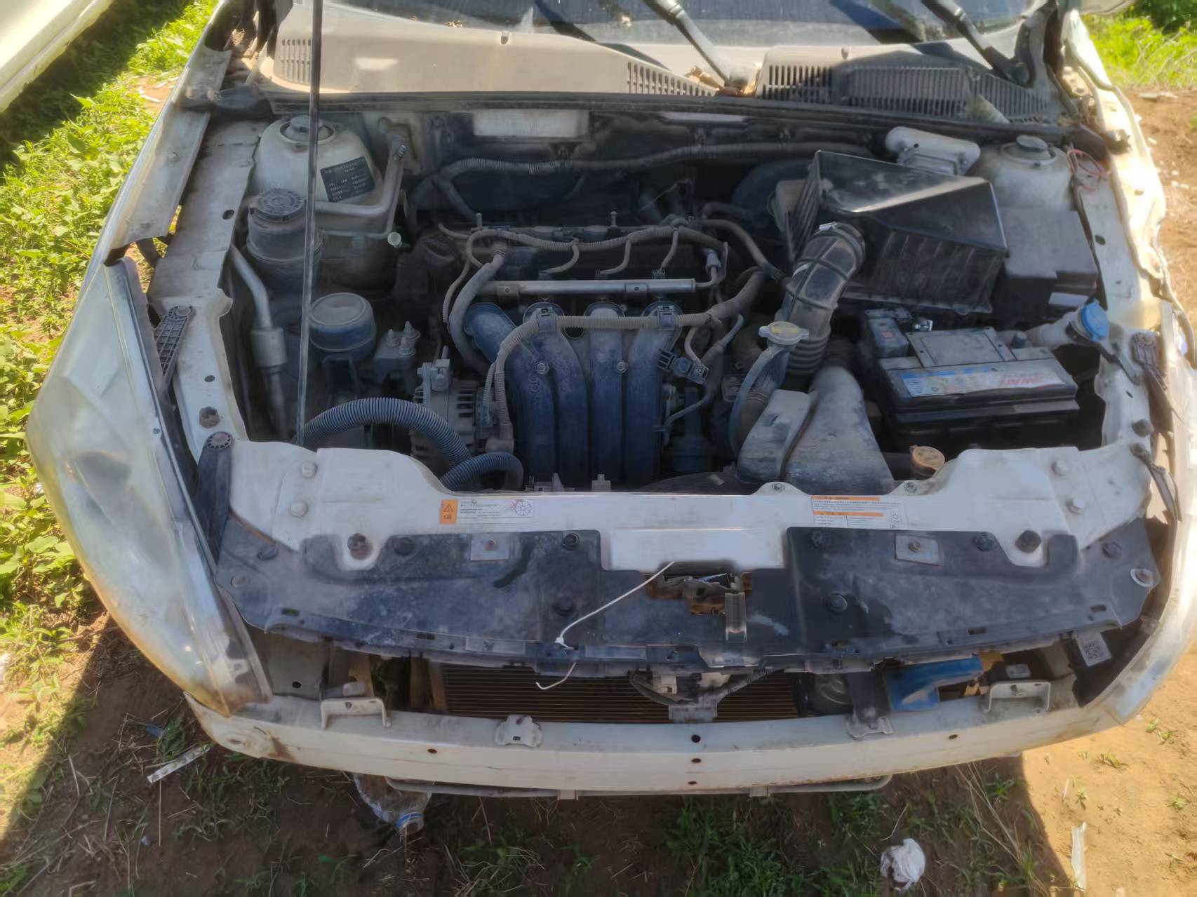 D50