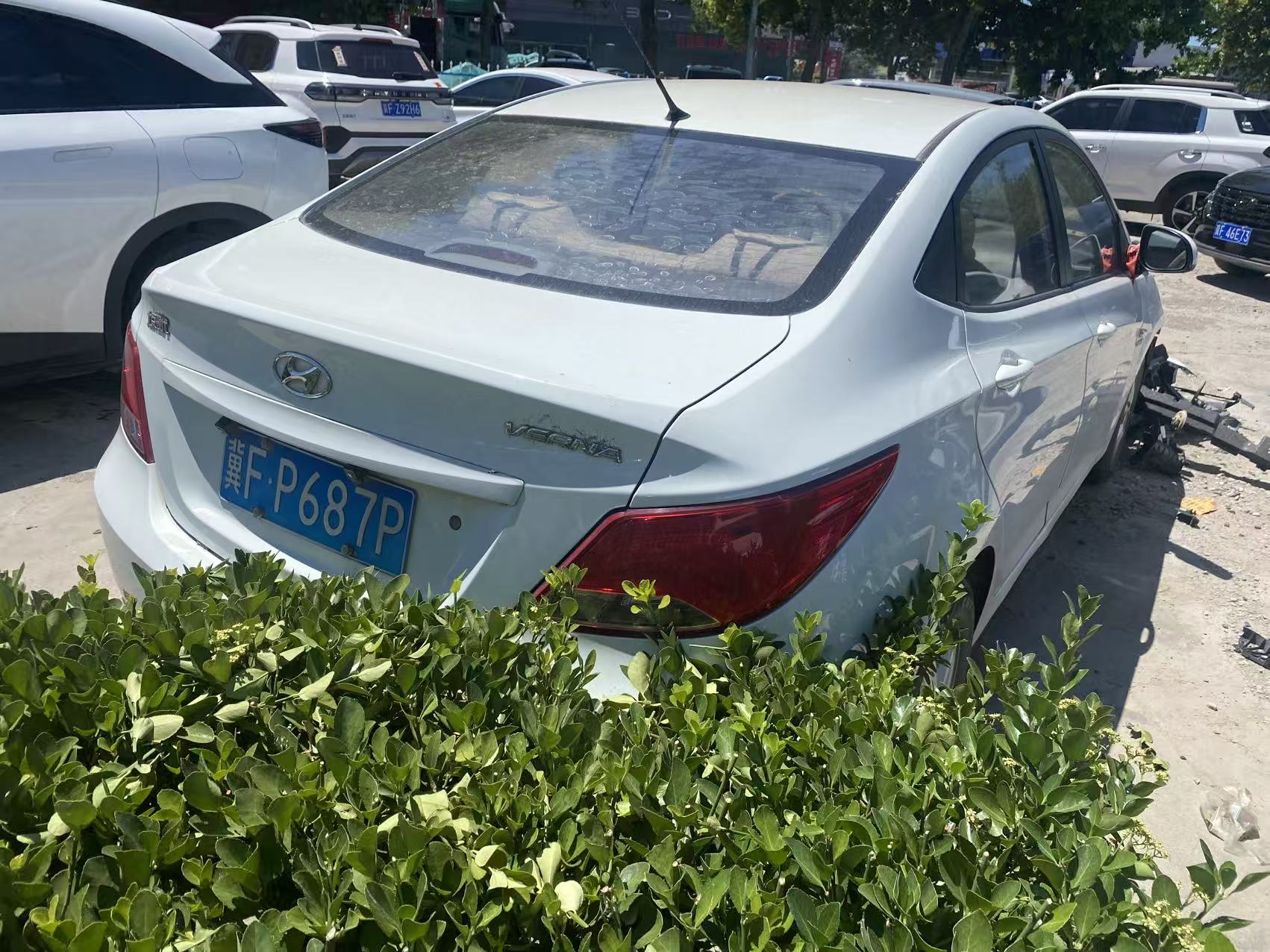 瑞纳