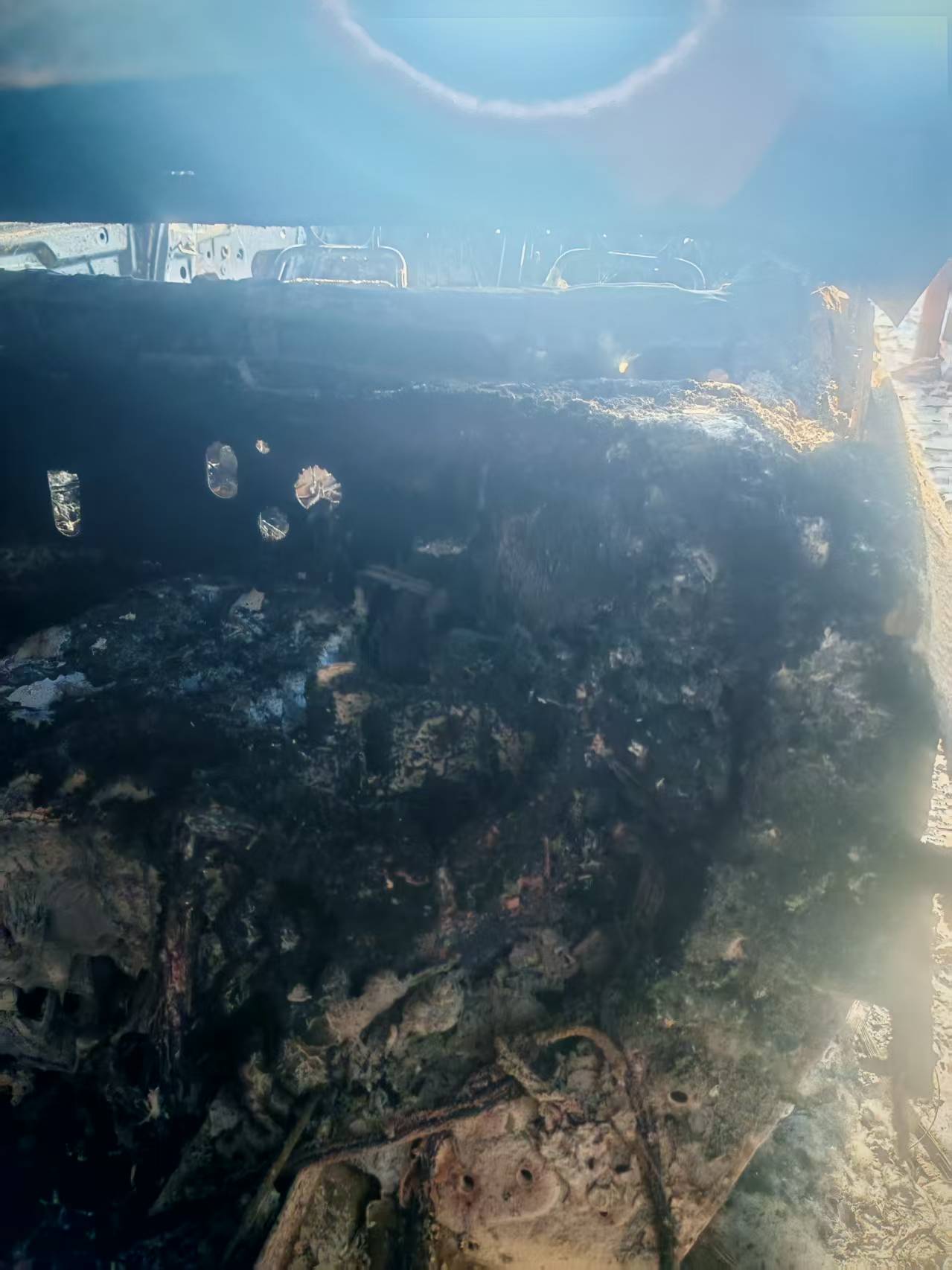 海豹06(2024-