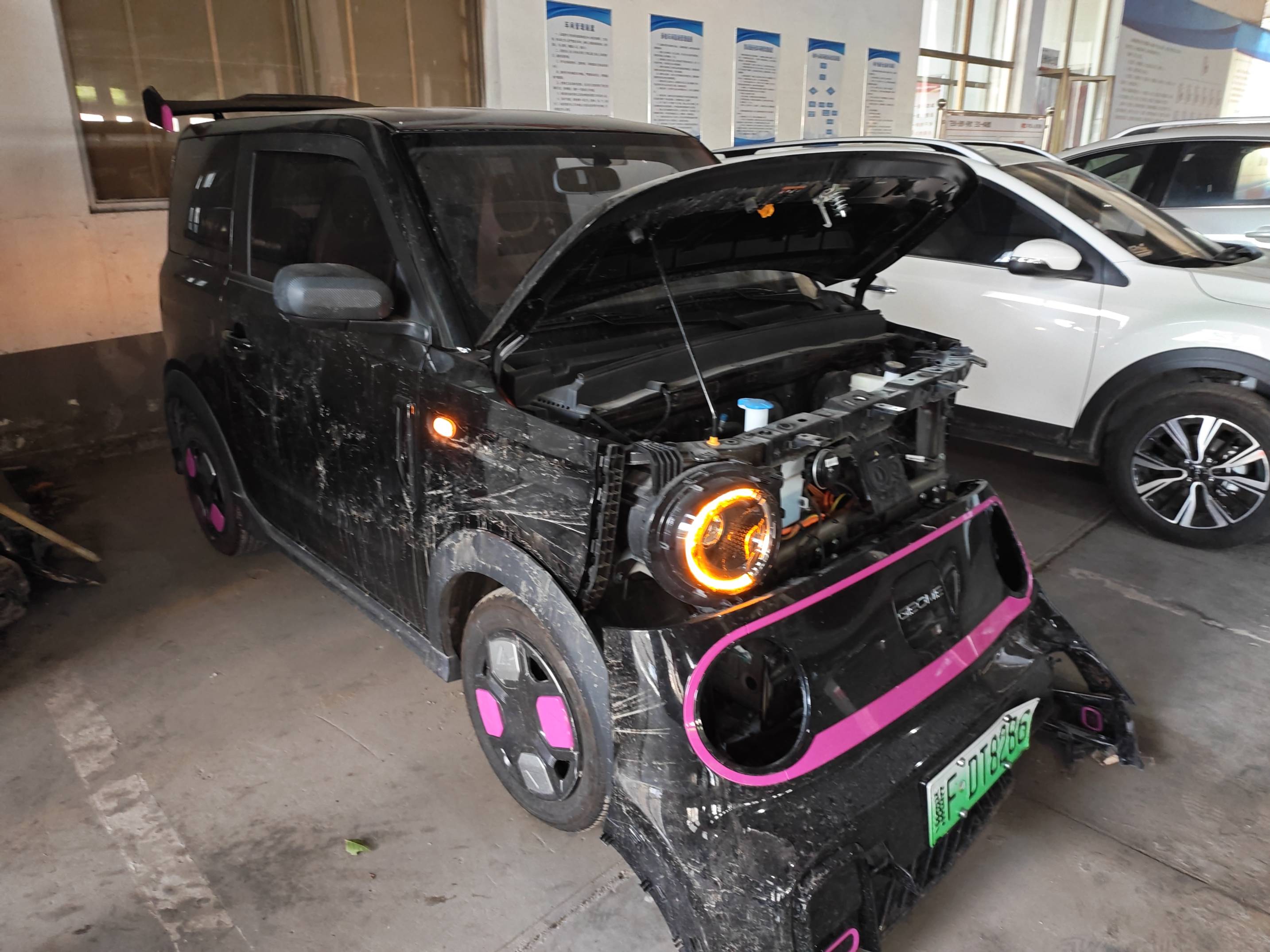 熊猫mini