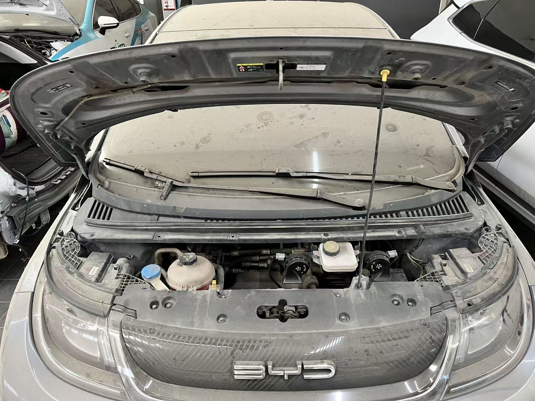 海豚 EV（2021-