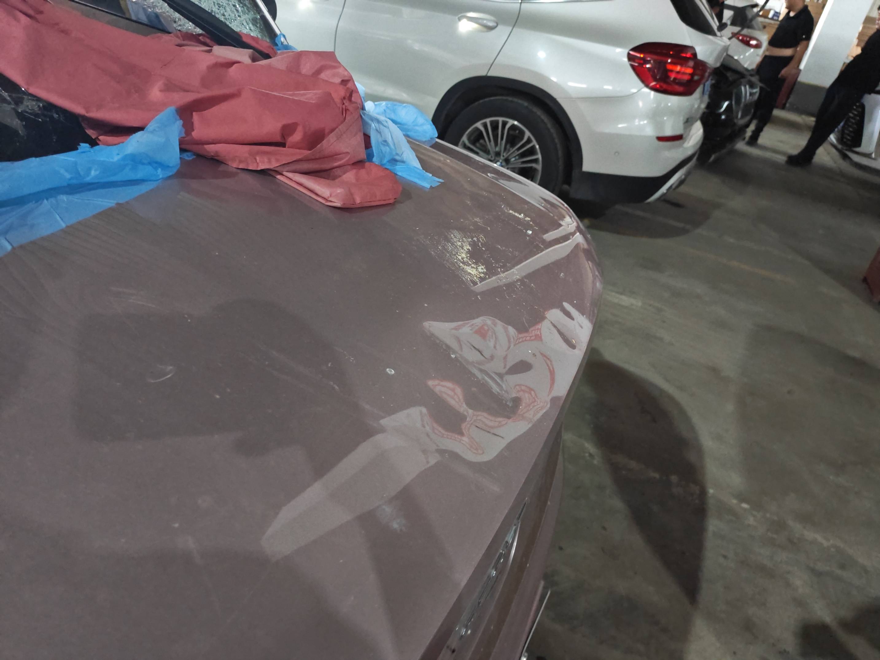 熊猫mini