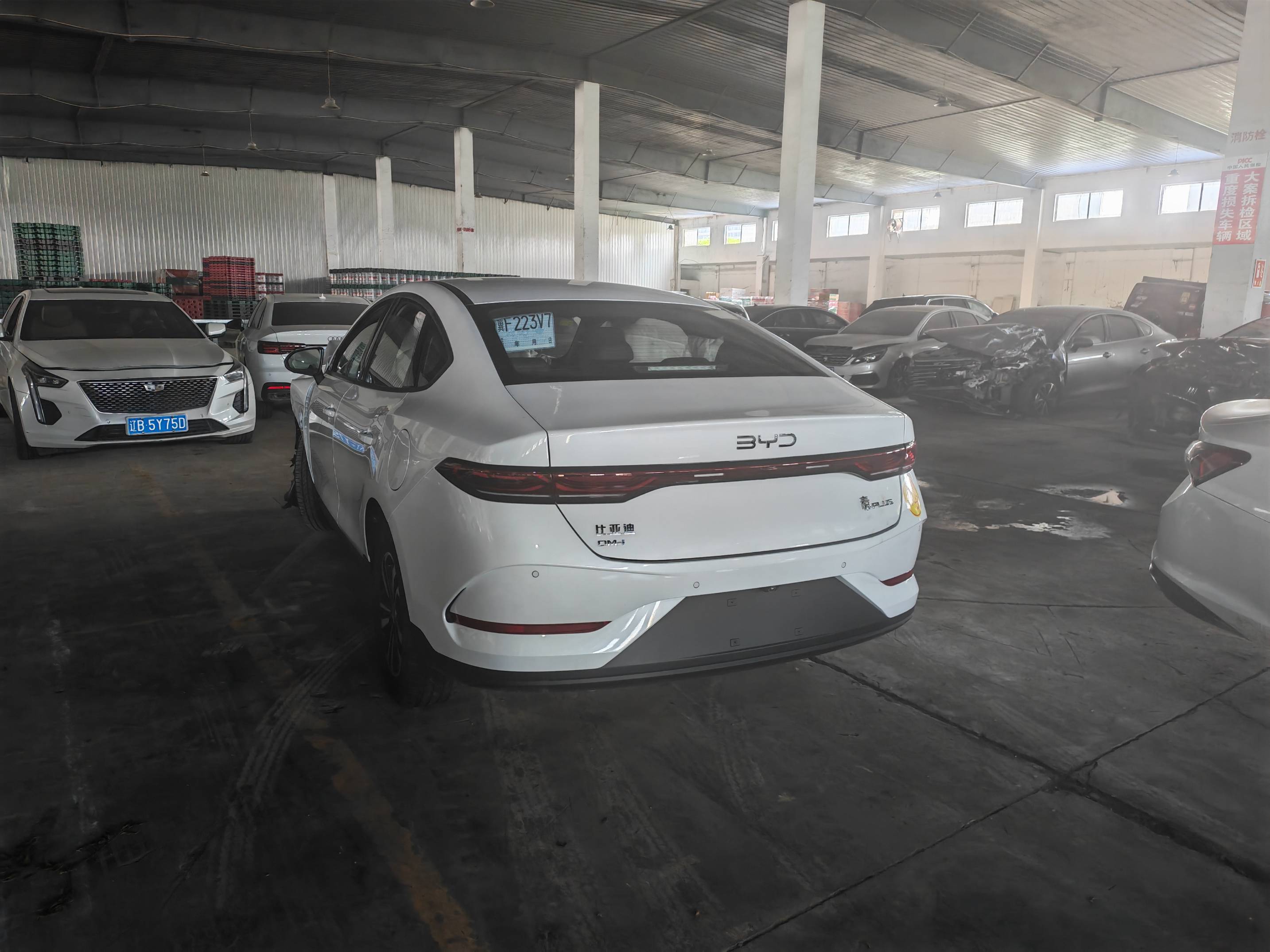 秦L（2024-