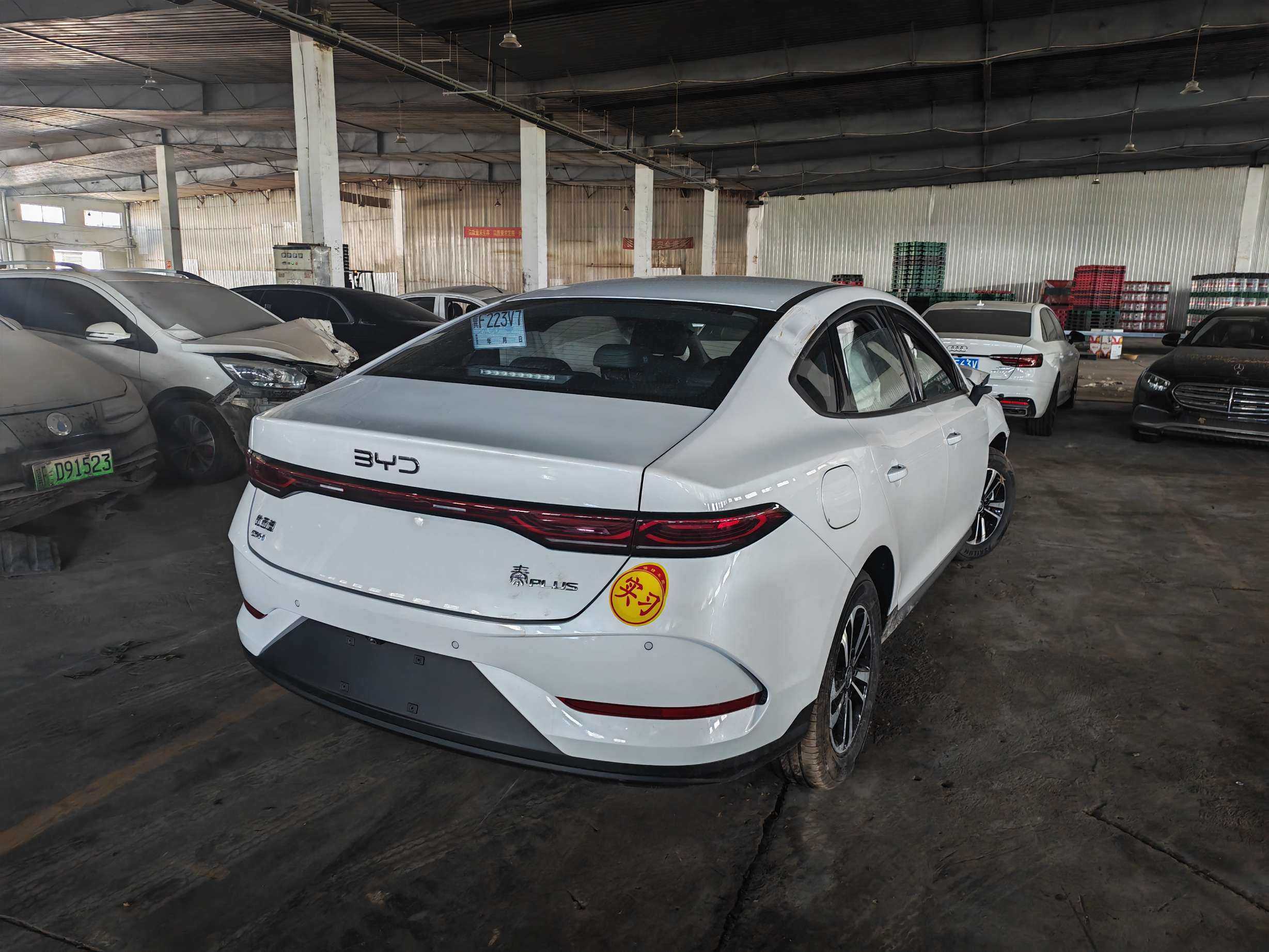 秦L（2024-