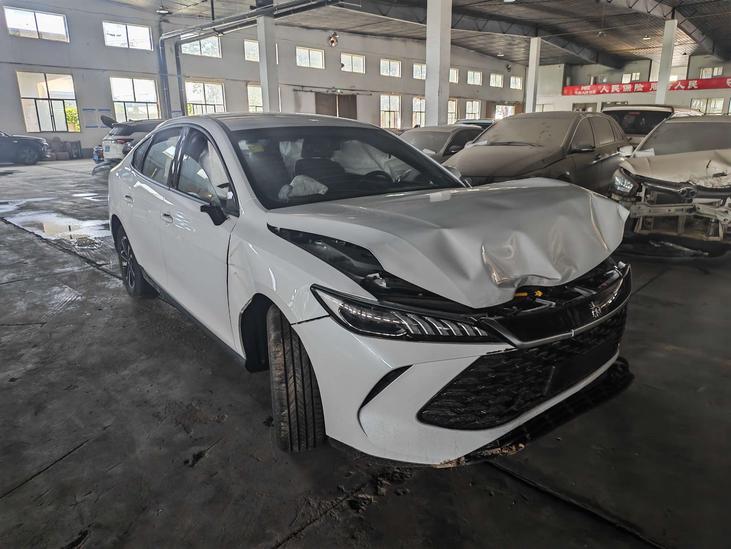 秦L（2024-