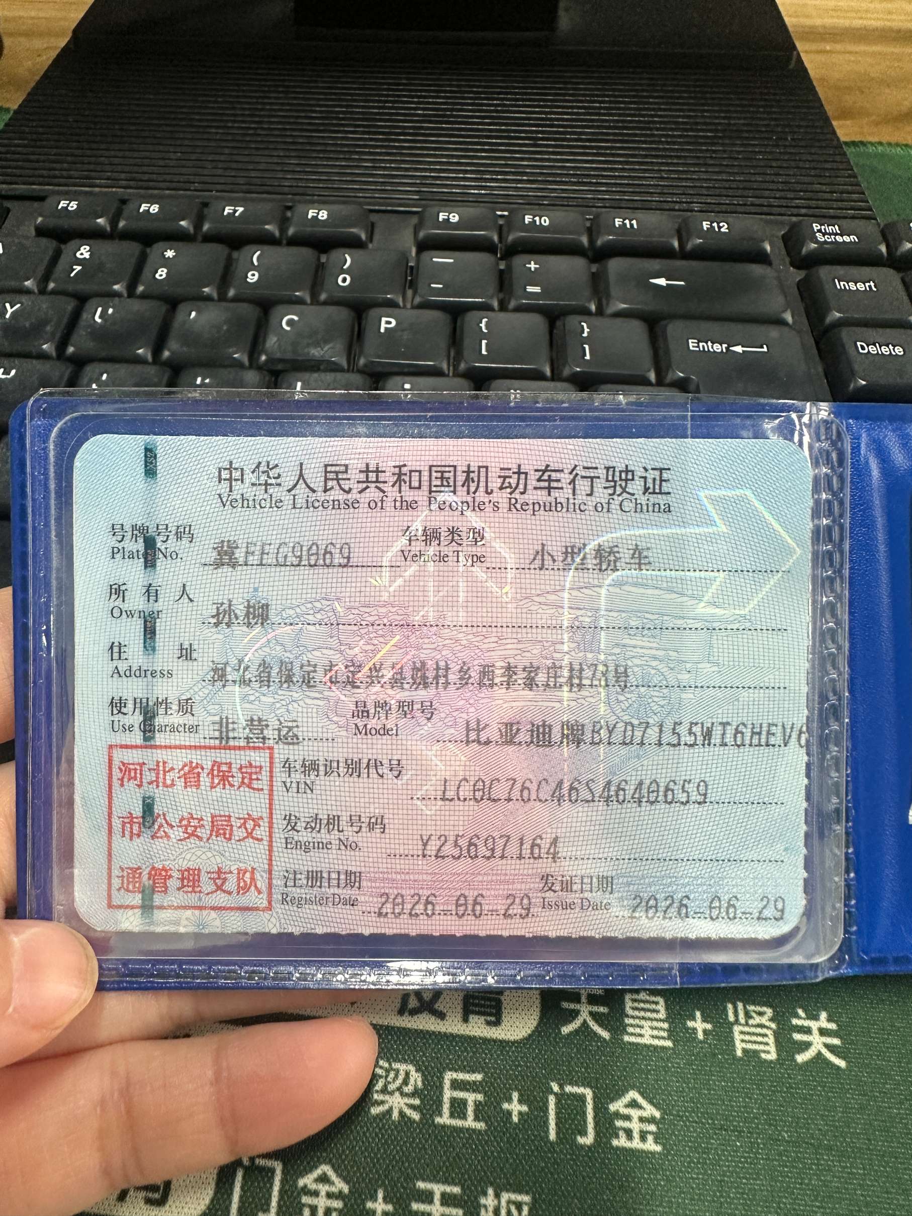 秦L（2024-