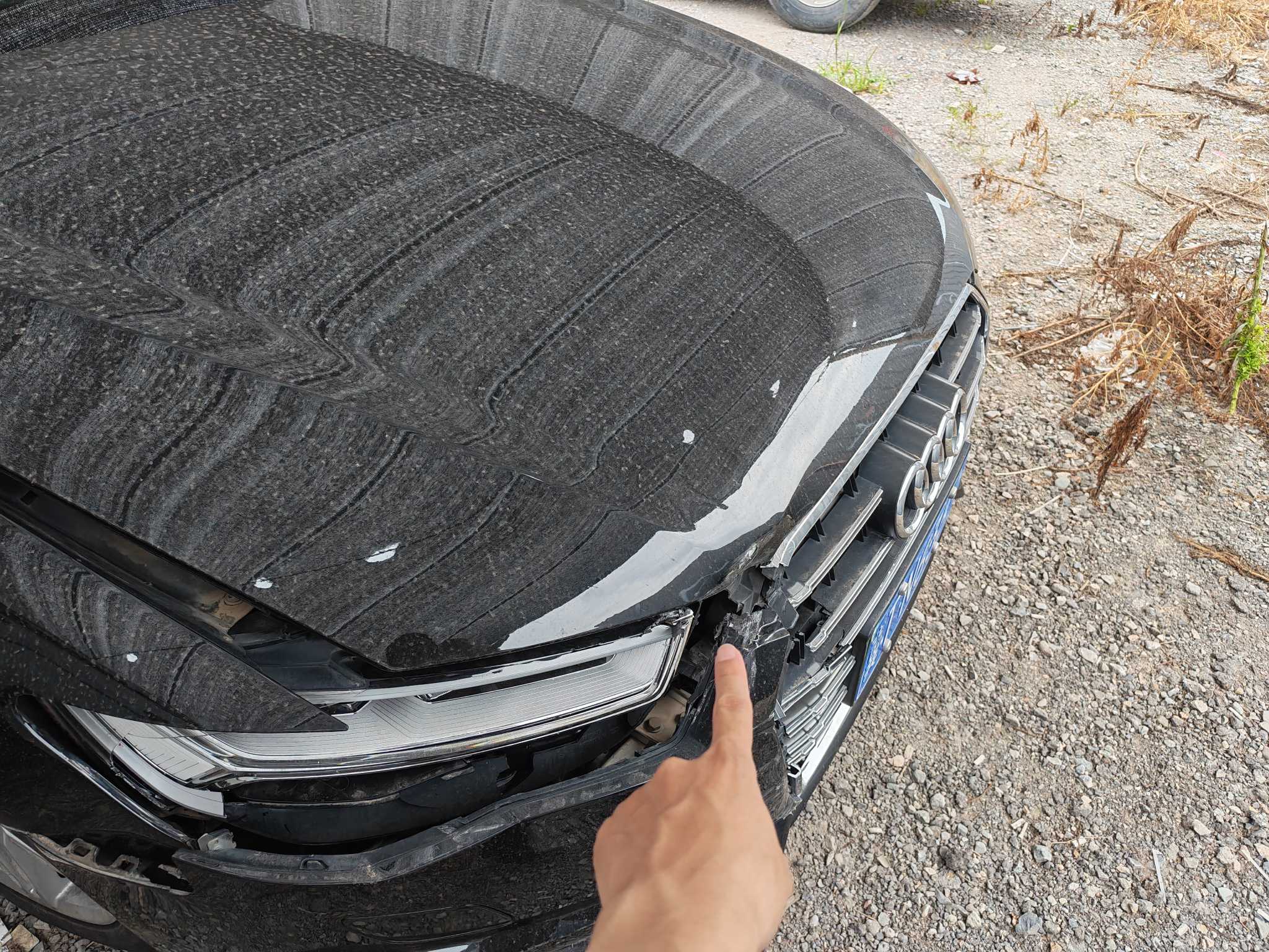 A6L(2012-2019)