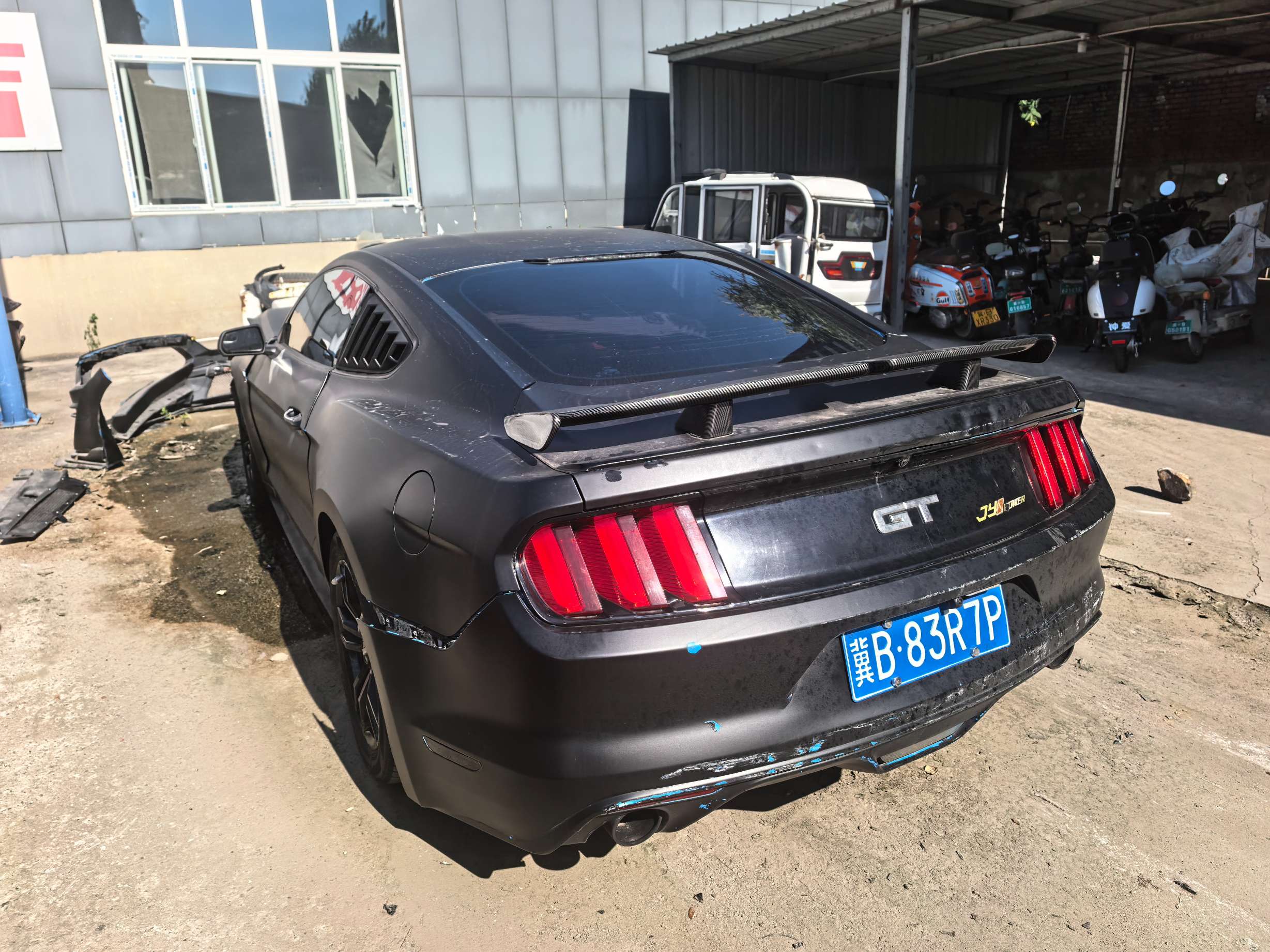 Mustang/野马