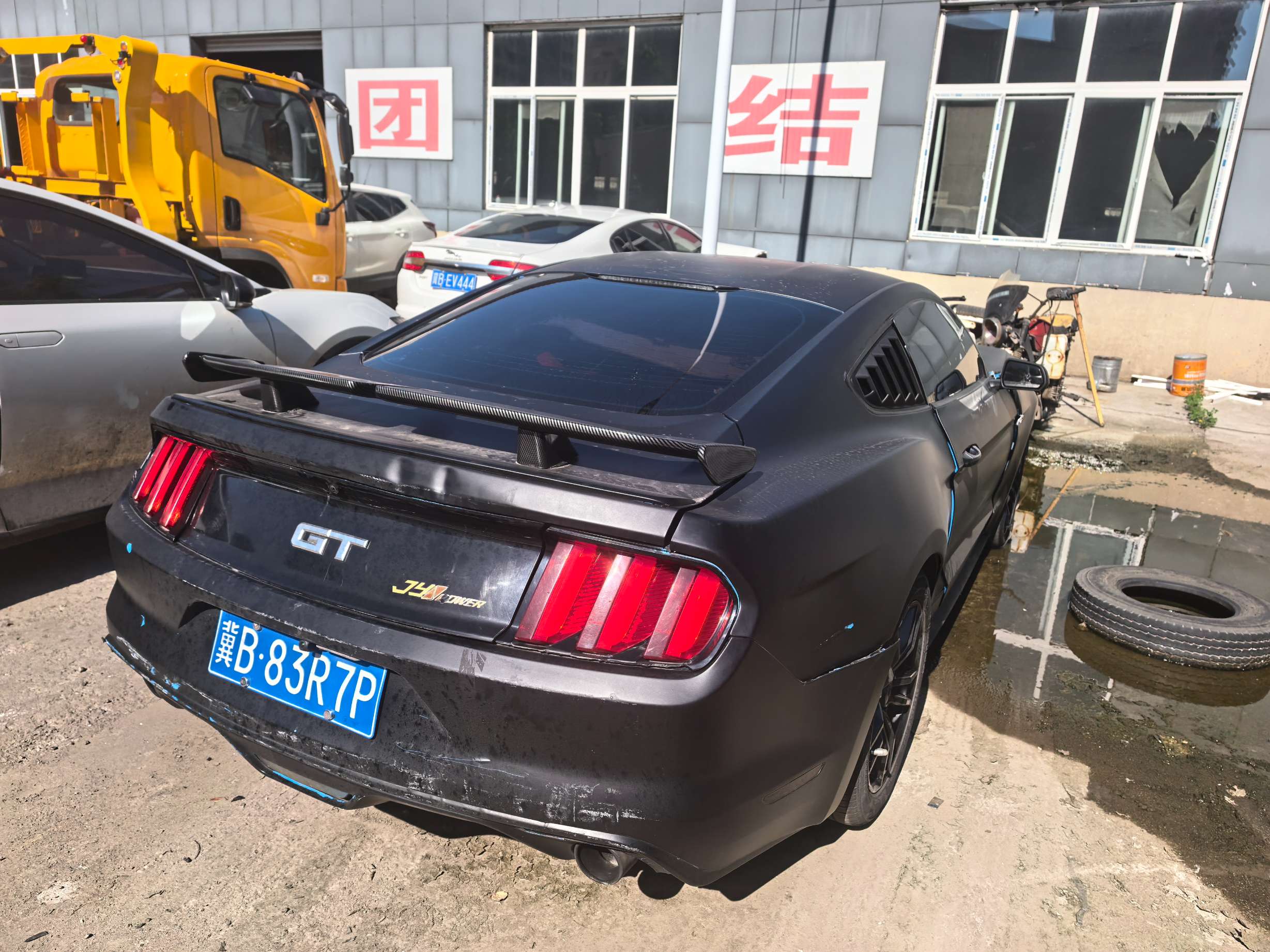 Mustang/野马