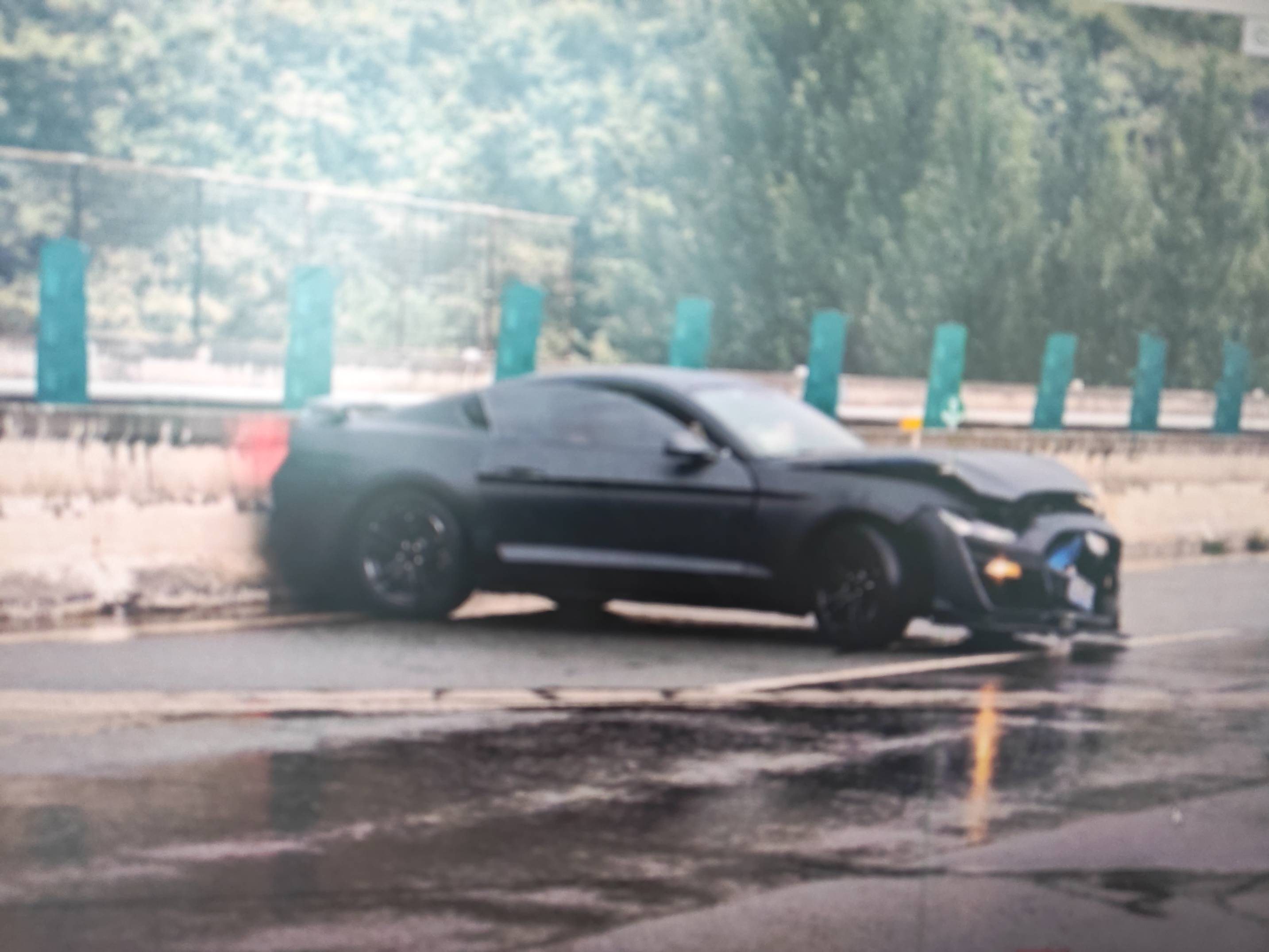 Mustang/野马